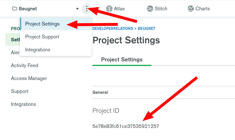 "MongoDB Atlas Project ID"